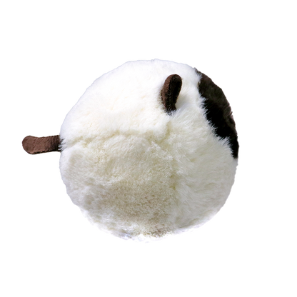 Sammy - US 1158